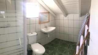 Tropic Arth Paradise - 2