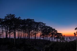 Seascape Beach Resort - Aptos - 9