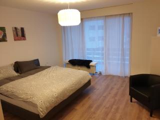 Dorfklatsch Ferienwohnung - Emmetten - 3