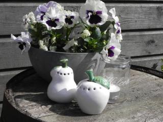 Appels en Peren Bed and Breakfast - Breezand - 5