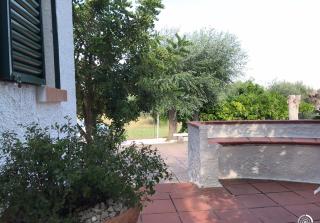 Villa Il Carrubo - Basilicata - Pisticci - 4