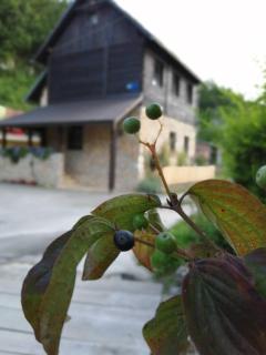 House Marijan - Korana - 9
