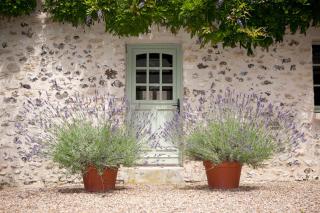 Gite et Chambres d'Hôtes Clos de Mondetour - Fontaine-sous-Jouy - 3