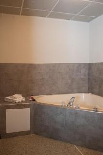 Hotel Chataura - Dearborn - 3