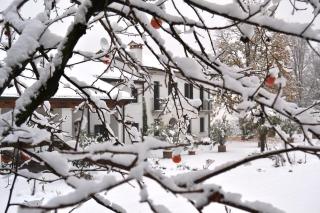 Country House Bucaneve - Rovolon - 3
