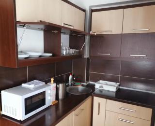 Apartman sa terasom Vila Mina Kopaonik - 1