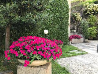 Villa Ombrosa - Nebbiuno - 5