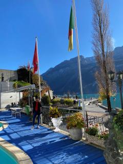 Alpenblume - Brienz - 6
