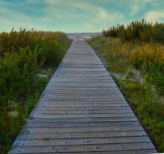 Acacia Beachfront Resort - Wildwood Crest - 3
