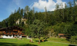 Sulzenhof inkl. Chiemgaukarte - Ruhpolding - 9