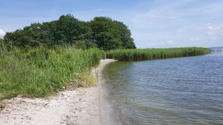 Terrassenwohnung "Windgott" - Oase am Haff - Garz-Usedom - 9