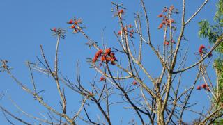 THE ENCHANTING NEST - Borim - 9