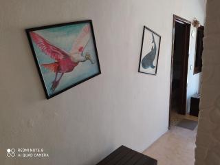 Casa Ohana-Disfruta del paraiso - Isola Holbox - 8
