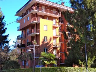 Pettirosso - Stresa - 9