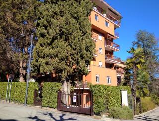 Pettirosso - Stresa - 8