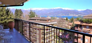 Pettirosso - Stresa - 2