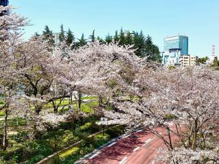 APA Hotel Roppongi SIX - Tokio - 4