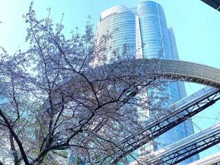 APA Hotel Roppongi SIX - Tokio - 9