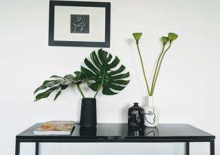 The Botanical 301 - Albury - 2
