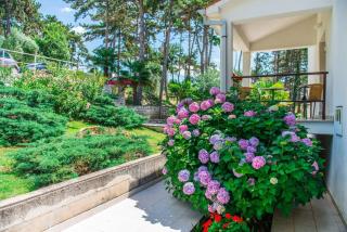 Apartments Pino Rabac - 2