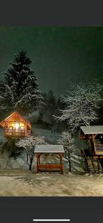 Domeniul Horj Casa din Cireș Moisei - Moisei - 7