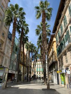 Picasso City Center 1A - Málaga - 7
