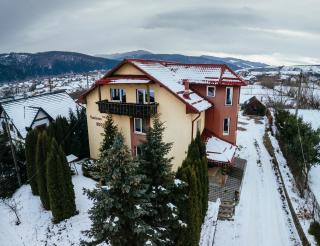 Pensiunea Bucovina - Gura Humorului - 3