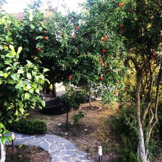 Villa No 5 - Bodrum - 9
