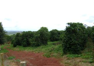 Sitio Sao Benedito - São Roque de Minas - 9