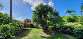 Grand studio Tropical idéalement situé, jardin et piscine - Saint-François - 5