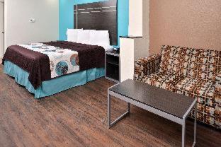 Americas Best Value Inn & Suites Spring / N. Houston - Spring - 4