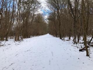Ferienwohnungostseeblick - Börgerende-Rethwisch - 8