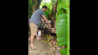 Room in Lodge - Method Living Tropical Edition - Cabarete - 4