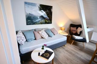ALP APARTMENTS centre location with traditional design and self check-in - Engelberg - 2