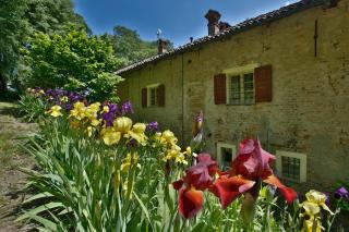 Cascina Margherita - Marchesi Alfieri - San Martino Alfieri - 8