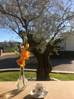 Hotel Purlilium - 7