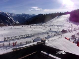 Un Isard au Pied des Pistes - 8