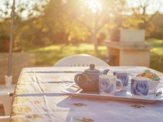 Holiday Home in Cazals near Bonaguil Castle - Cazals - 3