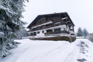 L'Etoile de Megeve - Megève - 8