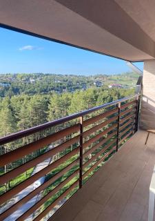 Panorama LUX u Vila Pekovic S6-13 i S5-7 - Zlatibor - 7