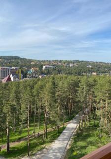 Panorama LUX u Vila Pekovic S6-13 i S5-7 - Zlatibor - 4