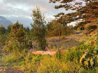 Cabañas Lodge Patagonia truful - Melipeuco - 4