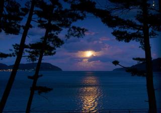 Hamabeno Ryouriyado Houraikan - Kamaishi - 3