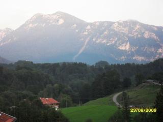 Bild 0