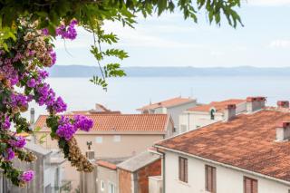 Apartments Leut 80m from the Sea - Podgora - 0