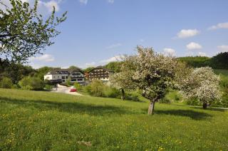 Wienerwaldhof Rieger - Tullnerbach-Lawies - 4