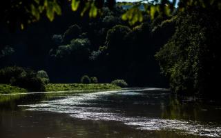 Parva Farmhouse Riverside Guesthouse - 6