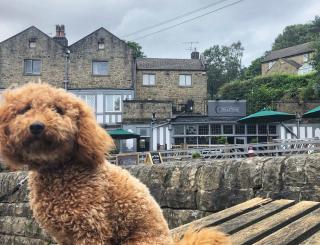 Millstone Country Inn - Hathersage - 3
