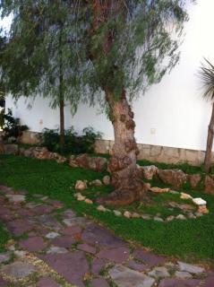 Ca Isaak - Denia - 5