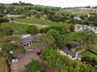 Le Pommier Wine Estate - Stellenbosch - 8